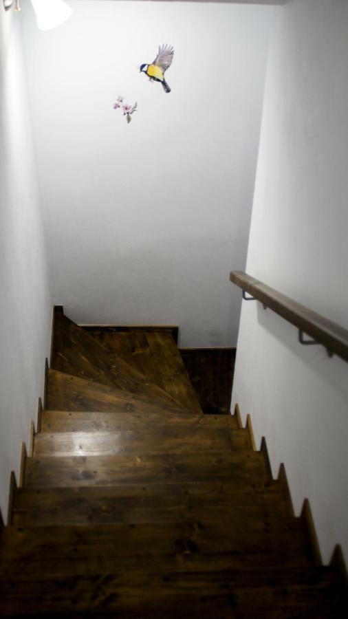 Villa Anemona'S House In The Center Of Sibiu Exterior foto
